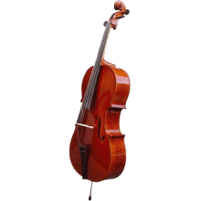 HERALD - AS344 - Massive cello