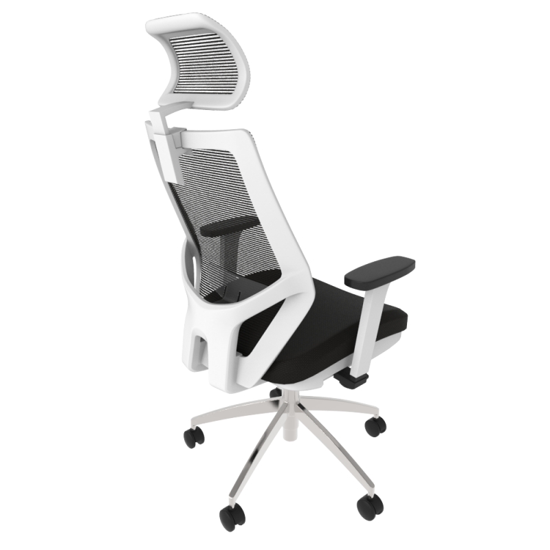 ergox studio chair