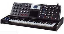 MOOG VOYAGER ELECTRIC BLUE V3