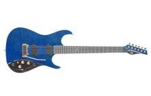 MOOG THE MOOG GUITAR PAUL VO COLLECTOR EDITION